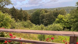 A wooden railing with a view of a forested hillside and blooming red roses.