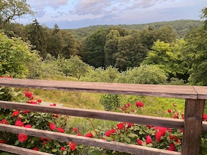 A wooden railing with a view of a forested hillside and blooming red roses.