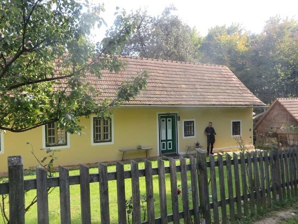 A yellow house with a green door, a wooden fence, and a person standing in the yard.