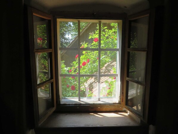 A bay window with a view of a garden.