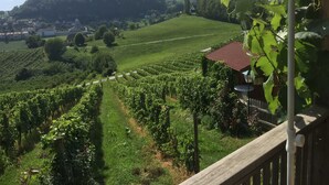 Ein Weinberg mit Rebenreihen, einem Holzzaun und einem Gebäude mit rotem Dach.