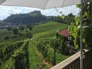 A vineyard with rows of grapevines, a wooden fence, and a building with a red roof. - Vacation home Baumgarten1 - Holiday home Baumgarten 1 (Baumgarten bei Gnas)