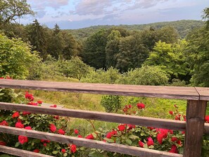 A wooden railing with a view of a forested hillside and blooming red roses.