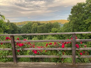 A wooden fence with a view of a forested hillside and blooming red flowers.