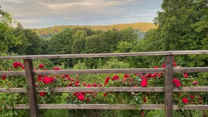A wooden fence with a view of a forested hillside and blooming red flowers.