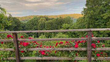 Une clôture en bois offrant une vue sur une colline boisée et parsemée de fleurs rouges en pleine floraison.