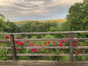 A wooden fence with a view of a forested hillside and blooming red flowers.