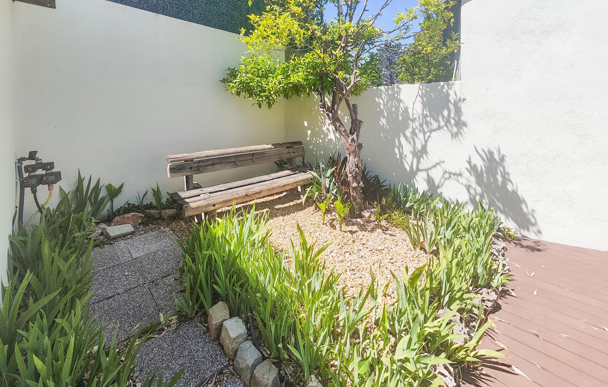 A wooden bench, a small tree, and a gravel path in a garden area.