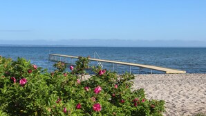 En strand med en träbrygga som sträcker sig ut i vattnet, omgiven av grönt lövverk och rosa blommor.