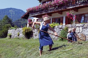 Áreas de la propiedad