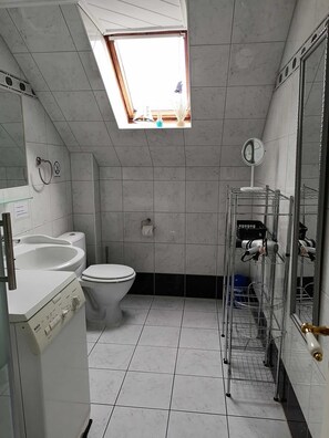 Ducha, secador de pelo, jabón, papel higiénico