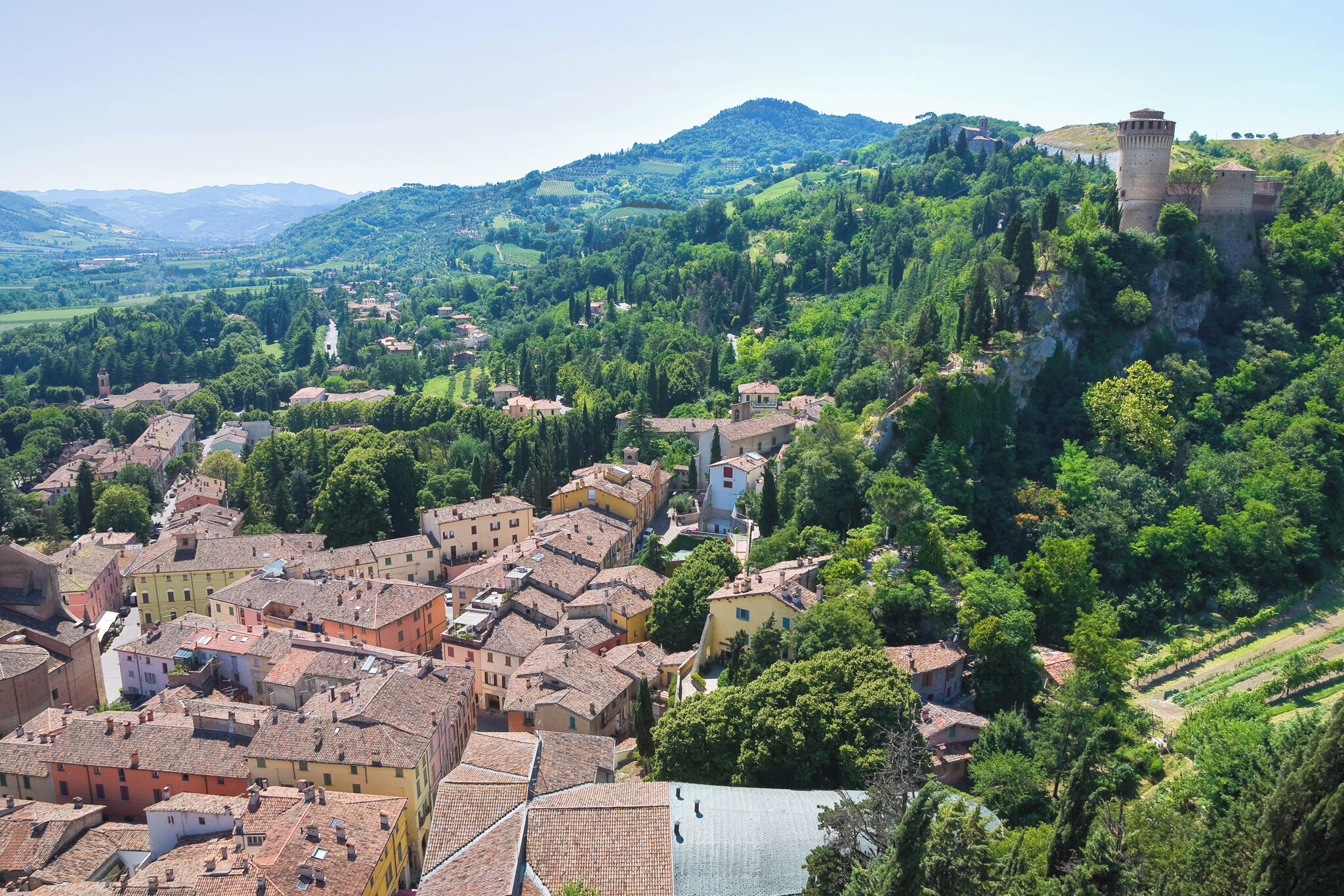 A town with historic buildings, a prominent tower, and a hillside with vineyards.