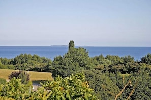 Un paysage côtier caractérisé par une végétation luxuriante et une vue dégagée sur la mer.