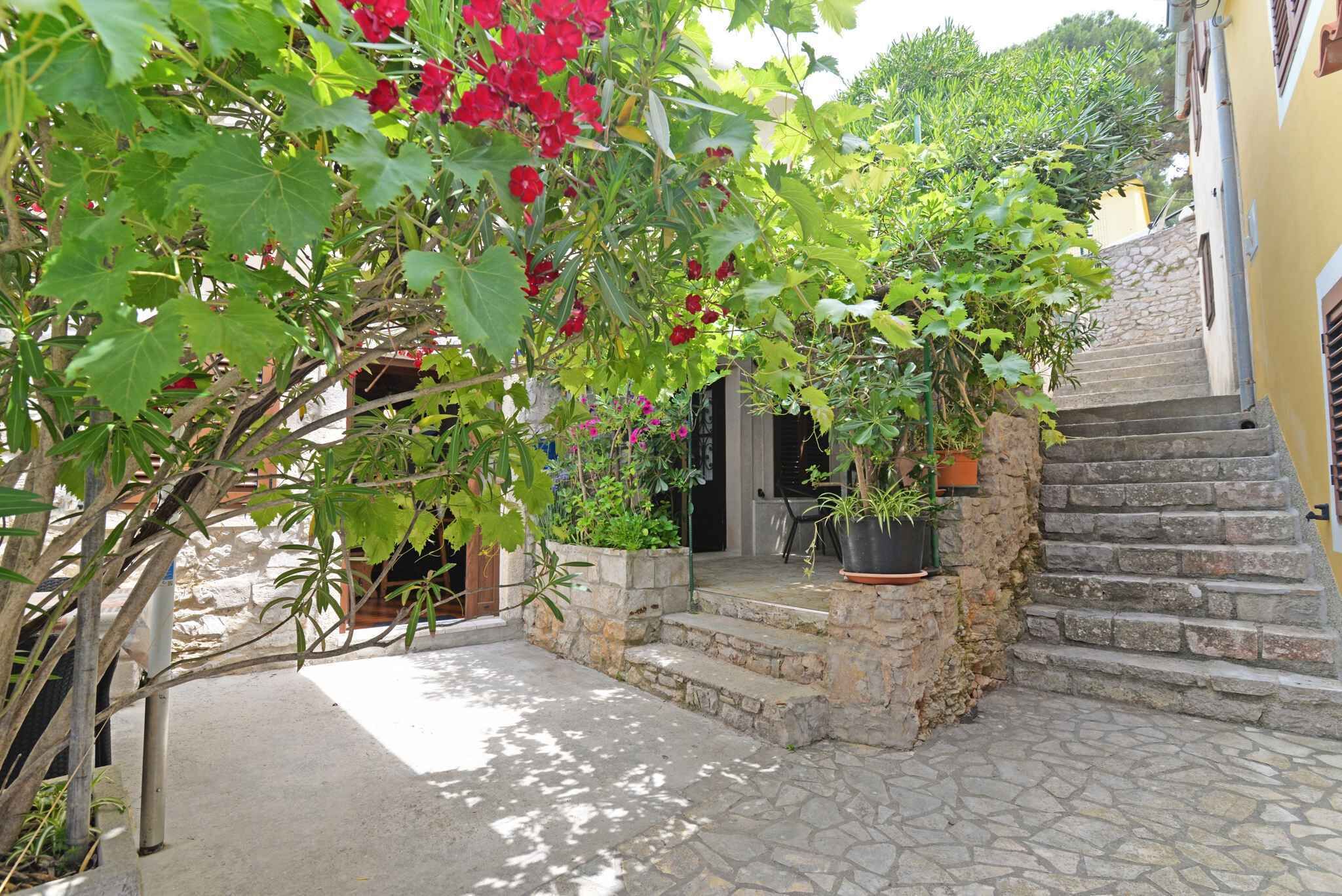 Un escalier en pierre menant à un bâtiment, entouré de plantes en pot et d’un petit jardin.