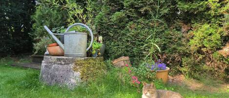 Área da propriedade