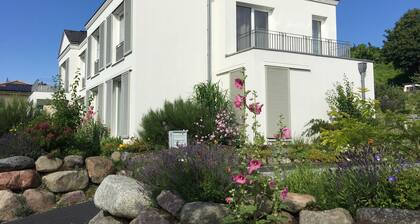 Huoneisto * Richi * - FW Richi