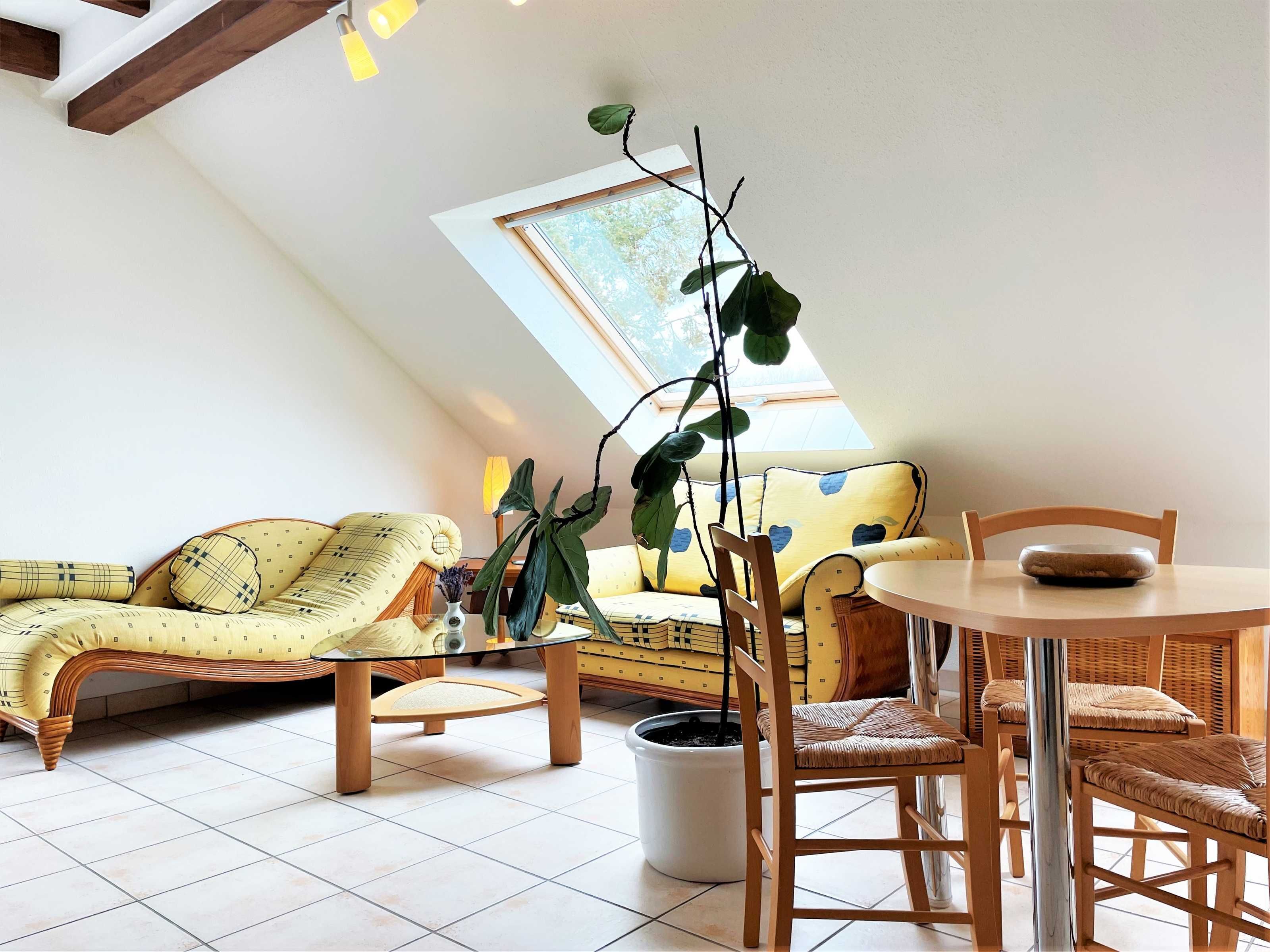 Blick in das Wohnzimmer