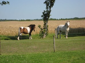 Botón de imagen sin clasificar, 5 de 14