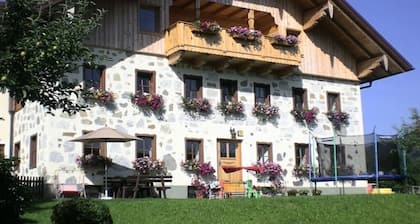 Holiday meadow green - Ferienhof Mayrhofer