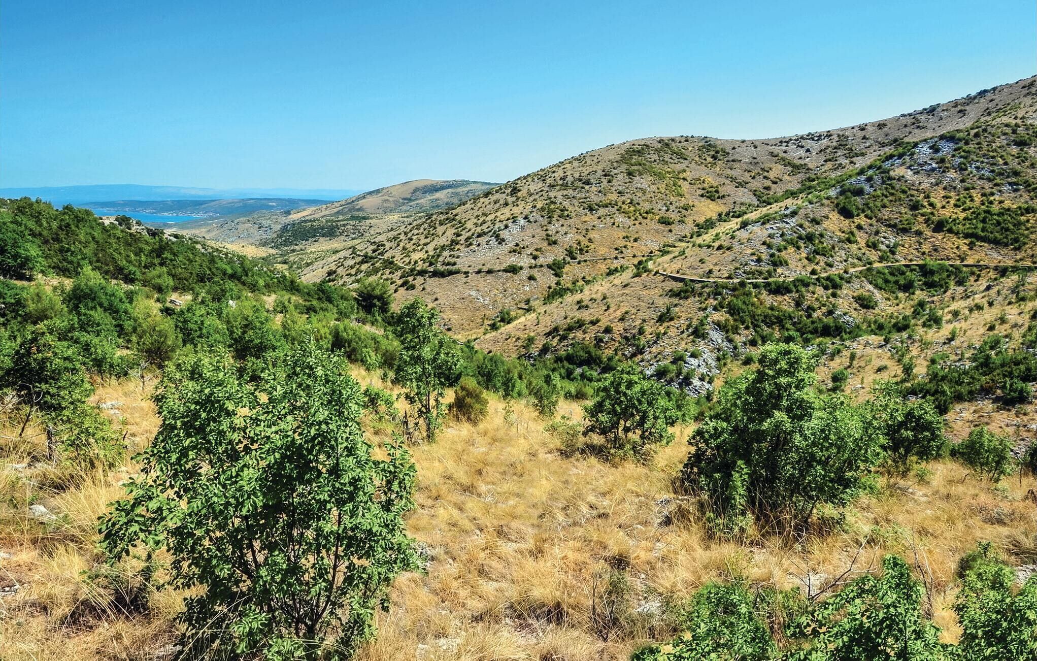 A mountainous landscape with dense greenery and a clear sky.
