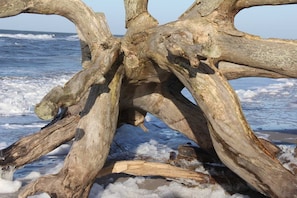 Nicht klassifiziertes Bild, 4 von 37, Schaltfläche