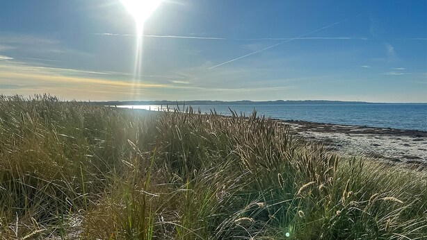 Tæt på stranden