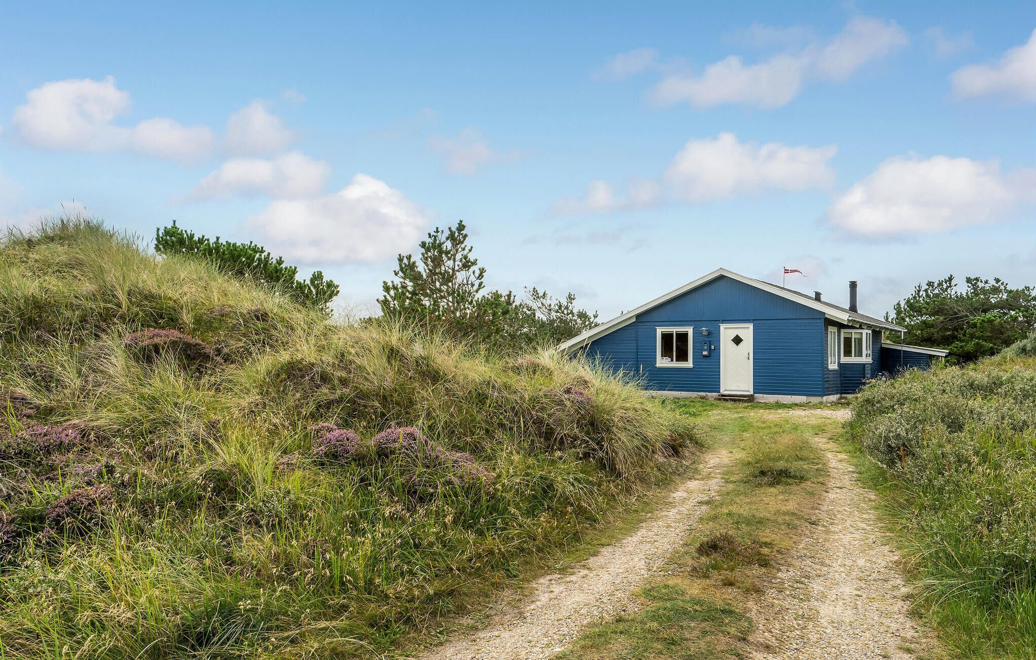 A blue house with a white door and a chimney, surrounded by grassy terrain and trees.