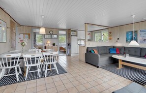 Smart-TV, Kamin