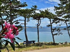 Miscellaneous - Holiday apartment with sea view and barbecue (Šilo)