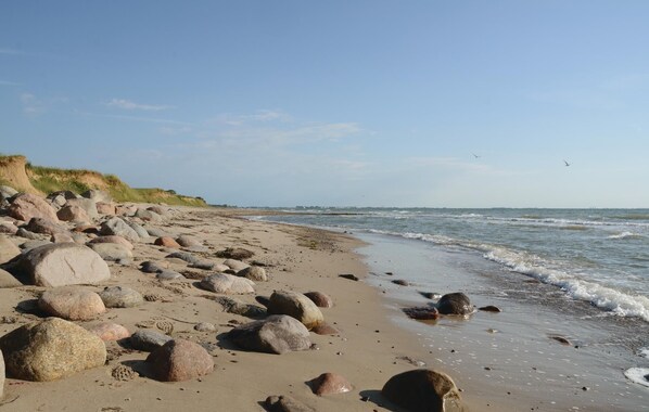 Tæt på stranden, fiskeri