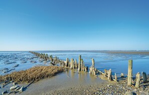 بالقرب من الشاطئ