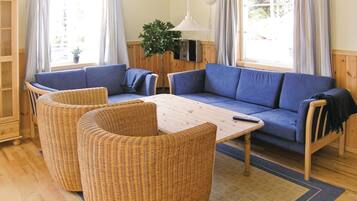 テレビ、暖炉、DVD プレーヤー