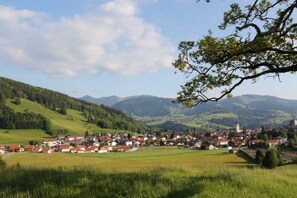 Unclassified image, 4 of 25, button