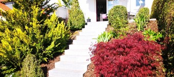 Exclusive apartment Herrmann in the house Hochgratblick - apartment 1, ground floor, 2 rooms, Oberstaufen,