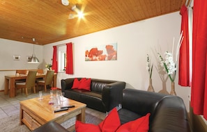 TV, fireplace, DVD player