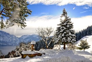 Photo non classée, 4 sur 82, bouton