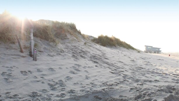 Playa