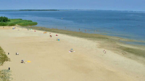 A wide sandy beach with a few umbrellas and people. - Apartment 1 - Apartments in Blu Hus (Kröslin)