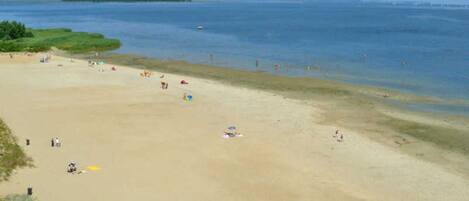 A wide sandy beach with a few umbrellas and people.