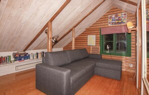 TV, fireplace, DVD player