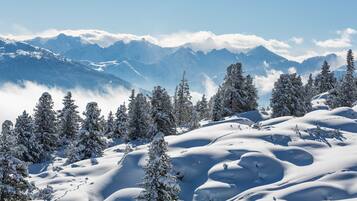 Eine verschneite Berglandschaft mit schneebedeckten Bäumen und Bergen in der Ferne.