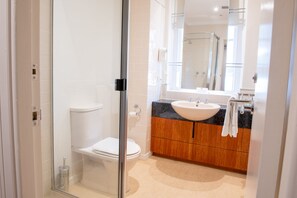 Shower, free toiletries, hair dryer, towels