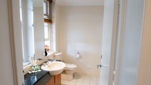 A modern bathroom with a sink, toilet, and mirror.