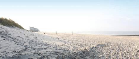 Beach nearby, fishing