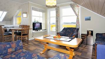 Een televisie, een open haard en een dvd-speler