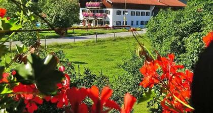 Double Room 2 - Haus Bamberger