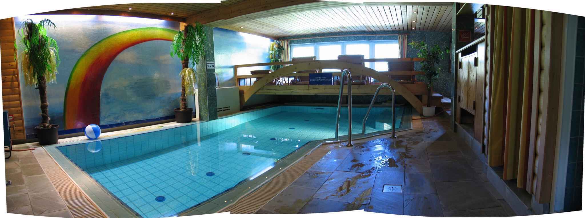 An indoor swimming pool with a wooden deck, a rainbow mural, and potted plants.