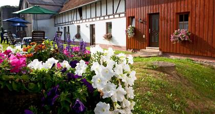 Lomahuoneisto Schwalbennest - Huoneistot Elsbacher Hof