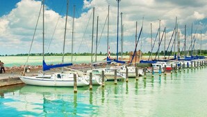 A marina with multiple sailboats docked along a calm waterfront.