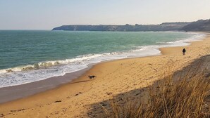 Ein Strand mit einer Person, einem Hund und einer Klippe im Hintergrund.